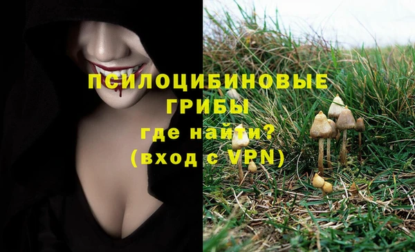 кокс Вяземский