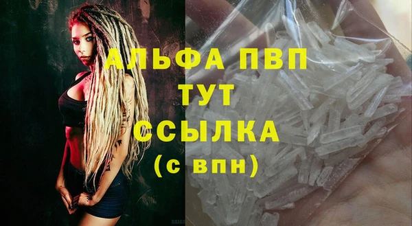 ECSTASY Горняк