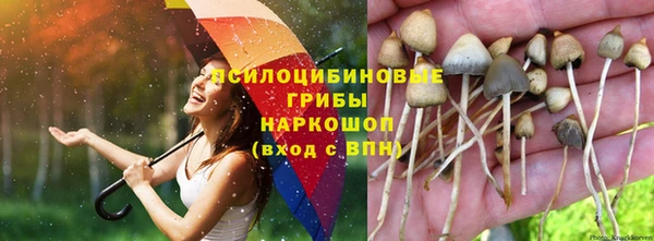 кокс Вяземский
