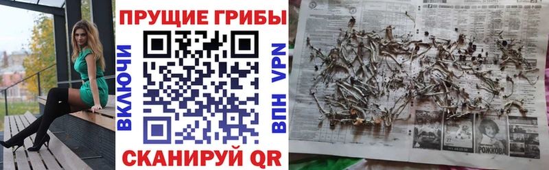 Галлюциногенные грибы прущие грибы  Купить закладки  Соликамск 